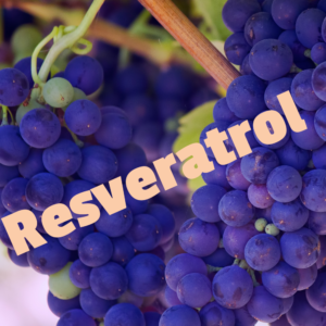 Resveratrol